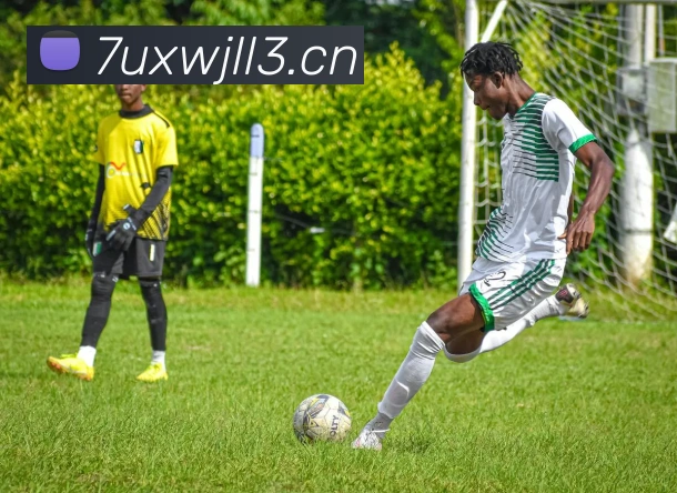 开云app在线官网服务体系